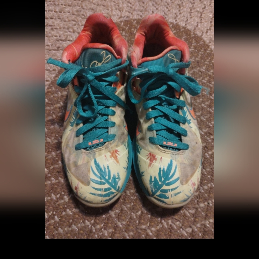Nike LeBron 9 Basketball Shoes